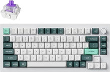 Load image into Gallery viewer, Keychron Q1 HE QMK Wireless Custom Mechanical Keyboard with Knob, 2.4 GHz/Bluetooth/Wired 75% Layout Hot-Swappable Programmable RGB Backlit Gateron Magnetic Switches for Mac Windows, Shell White
