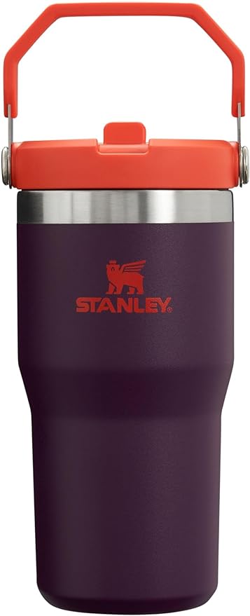 Stanley IceFlow Flip Straw Tumbler with Handle 20 oz | Twist On Lid and Flip Up Straw | Leak Resistant Water Bottle | Insulated Stainless Steel |BPA-Free | Plum