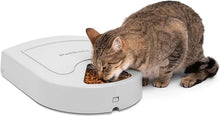 Load image into Gallery viewer, PetSafe Automatic Dog Feeder, 5 Meals, 40 oz Capacity, Plastic, for Dry Food, Multiple Pets
