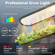 Load image into Gallery viewer, inbloom 12 Pods Hydroponics Growing System Kit, Herb Garden Planter Indoor Kit, Indoor Gardening Hydroponics Growing System with 4.2L Water Pump, Height Adjustable, Gifts for Woman, Transparent Black
