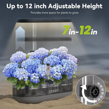 Load image into Gallery viewer, inbloom 12 Pods Hydroponics Growing System Kit, Herb Garden Planter Indoor Kit, Indoor Gardening Hydroponics Growing System with 4.2L Water Pump, Height Adjustable, Gifts for Woman, Transparent Black
