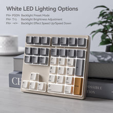 Load image into Gallery viewer, Kisnt Mechanical Number Pad, 34 Key Hot Swappable Numpad Wired USB Numeric Keypad with PBT Keycaps White Backlit Keypad for Laptop, MacBook,PC Desktop (Brown Switch)
