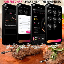 Load image into Gallery viewer, 800FT Smart Wireless Meat Thermometer App Host Control, Bluetooth Digital Meat Thermometer for Barbecue, Outdoor Grilling, Oven &amp; Smoker (Two*Probe-01)
