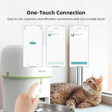 Load image into Gallery viewer, Automatic Cat Feeder, 2L Cat Food Dispenser, 2.4G WiFi Cat Food Dispenser with APP Remote Feeding, Dual Power Supply, Programmable Portion Size, Auto Pet Feeder for Cats and Small Dogs
