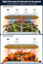 Load image into Gallery viewer, inBloom 12 Pods Hydroponics Growing System Indoor Garden with LED Grow Light and Pod Kit, Plants Germination Kit with 4.2L Water Pump Accelerate, Height Adjustable, Gardening Gifts for Women, White
