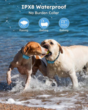 Load image into Gallery viewer, Jugbow Dog Shock Collar 2 Dogs - 4200FT Dog Training Collar with Remote, IPX8 Waterproof E Collar for Dogs Training Rechargeable Collars for Large Medium Small Dogs (10-120lbs)
