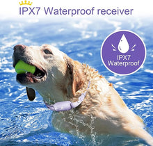 Load image into Gallery viewer, Bousnic Dog Shock Collar for 2 Dogs - (8-120lbs) Waterproof Rechargeable Electric Dog Training Collar with Remote for Small Medium Large Dogs with Beep Vibration Safe Shock Modes(Purple)
