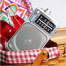 Load image into Gallery viewer, Panasonic Portable AM / FM Radio, Battery Operated Analog Radio, AC Powered, Silver (RF-2400D)
