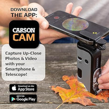 Load image into Gallery viewer, Carson MicroFlip 100x-250x, LED UV Pocket Microscope with Smartphone Clip, STEM Education (MP-250)
