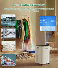 Load image into Gallery viewer, Dehumidifier 2500 Sq.Ft 30 Pint, Dehumidifiers with Drain Hose, 0.66 Gallon Water Tank, RUWORA Dehumidifiers for Home Basement Bedroom Bathroom, Overflow Protection, 24H Timer
