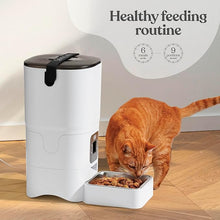 Load image into Gallery viewer, Smart Automatic Cat Feeder - 6-L Reliable Automatic Cat Food Dispenser with Display LCD Screen for Easy Set Up -Portion Control Automatic Dog Feeder - Desiccant Bag Keeps Dry Food Fresh-Voice Recorder
