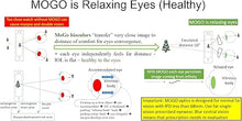 Load image into Gallery viewer, MoGo Travel v1.b. Black/Blue 2D VR 360 Degrees Drones Netflix VoD AR apps
