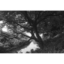 Load image into Gallery viewer, Hoya 52mm R-72 Infrared Filter
