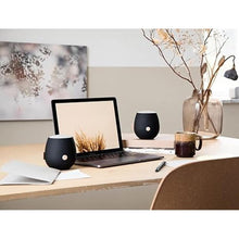 Load image into Gallery viewer, aJAZZ Portable Bluetooth Speaker, Water Resistant (IPX5) and Durable, Up to 30 Hours of Wireless Play, Voice Assistant, Stereo Sound, Quick Charge, for Indoors and Outdoors (Black)
