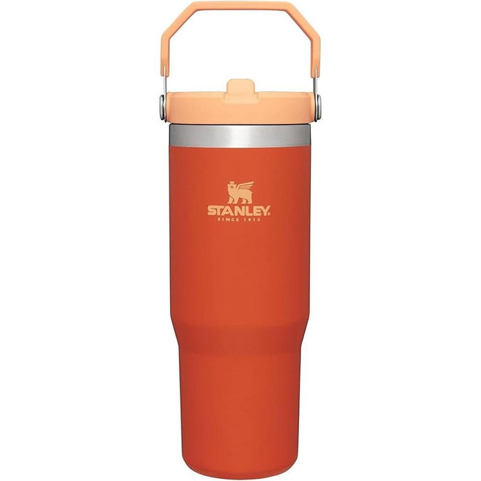 Stanley IceFlow Stainless Steel Tumbler with Straw - Vacuum Insulated Water Bottle for Home, Office or Car Reusable Cup with Straw Leak Resistant Flip Cold for 12 Hours or Iced for 2 Days (Tigerlily)