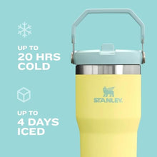 Load image into Gallery viewer, Stanley IceFlow Stainless Steel Tumbler with Straw - Vacuum Insulated Water Bottle for Home, Office or Car Reusable Cup with Straw Leak Resistant Flip Cold for 12 Hours or Iced for 2 Days (Tigerlily)
