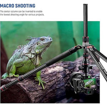 Load image into Gallery viewer, NEEWER Upgraded 80.7" Carbon Fiber Camera Tripod Monopod with Telescopic 2 Section Center Axes, 360° Panorama Ballhead, 1/4" Arca Type QR Plate, Travel Tripod with ø28mm Column, Max Load 26.5lb, N55CR
