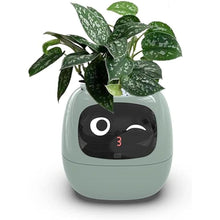 Load image into Gallery viewer, Smart Flowerpots,Smart Pet Planter,Ai Planter,Intelligent Flowerpots,Multiple Expressions,7 Smart Sensors, and Ai Chips Make Raising Plants Easy and Fun for Living Room,Plant-Free(Green)
