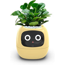 Load image into Gallery viewer, Intelligent flower pot, electronic bud, maintenance plant assistant, fun interactive flower pot, indoor green planting monitoring, LCD screen display, cell phone APP connection (Yellow)

