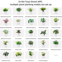 Load image into Gallery viewer, Intelligent flower pot, electronic bud, maintenance plant assistant, fun interactive flower pot, indoor green planting monitoring, LCD screen display, cell phone APP connection (Yellow)

