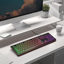 Load image into Gallery viewer, USB Wired Computer Keyboard with Backlit - Full Size Office Keyboard with Number Pad, Caps Indicators, Foldable Stands, for PC Laptop Desktop Windows 7 8 10 11 (Black)
