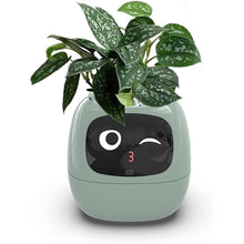 Load image into Gallery viewer, Intelligent Flower Pot, Electronic Bud, Maintenance Plant Assistant, Fun Interactive Flower Pot, Indoor Green Planting Monitoring, LCD Screen Display, Cell Phone APP Connection (Green)
