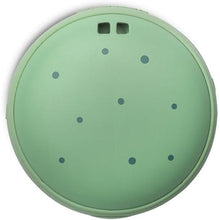 Load image into Gallery viewer, Speaqua Cruiser Squidward from Spongebob - Waterproof Bluetooth Speaker, Beach Accessory
