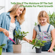 Load image into Gallery viewer, Naiades Soil Moisture Meter, Silver Plant Water Monitor, Hygrometer Sensor for Gardening Farming, Indoor and Outdoor (No Battery Required)

