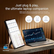Load image into Gallery viewer, ASUS ZenScreen MB169CK-P 15.6 Inch 1080p Portable Monitor, Damage Protect, BLACK_2128
