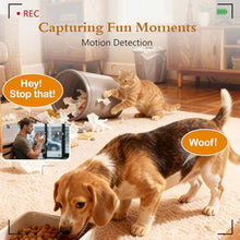 Load image into Gallery viewer, Automatic Cat Feeders Camera 5G: WiFi Easy to Clean Timed Smart Dog Food Dispenser 2-Way Audio Memory Function Pet Feeder HD 1080P Video Record APP Control Dry Food Clear Night Vision Yakry, White_8954
