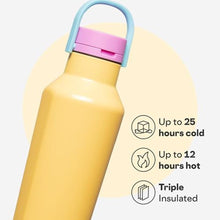 Load image into Gallery viewer, Classic Sport Canteen by CORKCICLE., ToucanJams_5535
