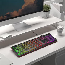 Load image into Gallery viewer, Dilter USB Wired Computer Keyboard with Backlit - Full Size Office Keyboard with Number Pad, Caps Indicators, Foldable Stands, for PC Laptop Desktop Windows 7 8 10 11 (Black)_6542
