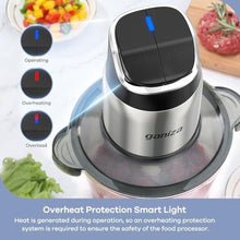Load image into Gallery viewer, Ganiza Food Processor with Dual Bowls, 2-Speed Food Chopper &amp; Meat Grinder, Silver_5835
