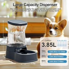 Load image into Gallery viewer, Gardner Pet Automatic Dog Water Dispenser Gravity Stainless Steel Water Waterer Feeder, 100% BPA-Free Large Capacity Water Feeding Bowls for Medium &amp; Large-Sized Dogs Cats Other Pets -(1 Gallon), DarkGrey_2070
