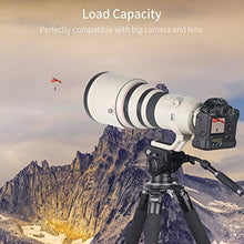 Load image into Gallery viewer, Heavy Duty Tripod Fluid Head-INNOREL F80 Drag Pan Cameras Video Fluid Head with 1/4 and 3/8 in Screws Sliding Plate CNC Professional Panoramic Max Load 24.5lb/12kg for DSLR Camcorders Shooting Film_8622
