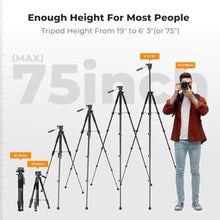 Load image into Gallery viewer, K&amp;F CONCEPT 75" Aluminum Camera Tripod, Lightweight and Compact for Travel, Black_906
