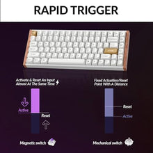 Load image into Gallery viewer, Keychron K2 HE Rapid Trigger Wireless Custom Keyboard with Hall Effect Gateron Double-Rail Magnetic Switch, 2.4 GHz QMK Bluetooth 5.2 RGB Compatible with Mac Windows Linux (Aluminum + Wood), GateronDoubleRailMagneticSwitchWhite_7199
