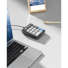 Load image into Gallery viewer, Kisnt KN17 Mechanical Numpad for Excel Financial Data Entry, Brownswitch_7805
