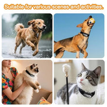 Load image into Gallery viewer, MITNOTY HD 1080P Pet Camera Collar with Video Record, Wireless Mini Sport Cam Built in WiFi, Small Body Action Cameras for Pet Supplies/Cycling/Travel/Walking, Black_811
