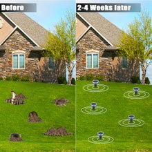 Load image into Gallery viewer, Mole Repellent Solar Powered 10 Pack Snake Repellent Ultrasonic, Groundhog Repeller,Gopher Repeller Sonic Mole Deterrent Spikes, Snake Gopher Mole Vole Repellent Outdoor for Lawn Garden &amp; Yard, Green_374
