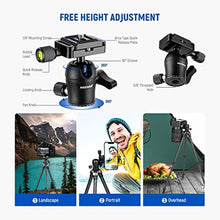 Load image into Gallery viewer, NEEWER 28"/72cm Carbon Fiber Camera Tripod with Phone Holder, Leg Spikes &amp; 360 Panoramic Ball Head, Lightweight and Compact Vlogging Travel Tripod Desktop Stand for Mirrorless Camera and Smartphone_862
