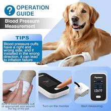 Load image into Gallery viewer, Pepultech Bluetooth Veterinary Patient Monitor,Track Spo2 &amp; Blood Pressure &amp; Pulse Rate for Home Pet Care, 2.8inch Display and Free APP,Dog Pulse Oximeter for Famlily Clinic Use (AM6200A)_14

