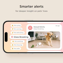 Load image into Gallery viewer, Petcube Cam 360 Wi-Fi Pan-Tilt Pet Security Camera with App_1140
