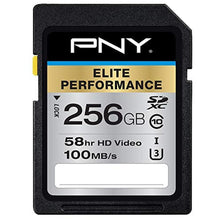Load image into Gallery viewer, PNY 256GB Elite Performance Class 10 U3 SDXC Flash Memory Card - 95MB/s Read, Class 10, U3, 4K UHD, Full HD, UHS-I, Full Size SD_1
