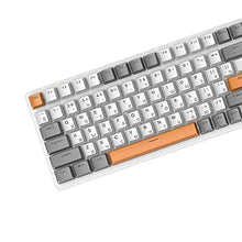 Load image into Gallery viewer, predolo Russian Mechanical Gaming Keyboard 100 Keys, Ergonomics,RGB, Backlit, USB Wired Plug and Play Durable Portable 98% Allocation for PC Laptop, Style E, StyleE_6811
