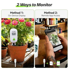 Load image into Gallery viewer, RAINPOINT Smart Digital Wireless Plant Moisture Meter Houseplants Indoor WiFi Hub Kit with Low/High Moisture Alert,Real-time Monitor Hygrometer Sensor Outdoor Gardening Push Notification&amp;Email_2
