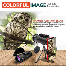 Load image into Gallery viewer, Roxant Falcon Monocular Telescope for Smartphone - 10x42 High Definition BAK4 Prism Focusing Scope - Monoculars for Adults - Includes Monocular, Phone Adapter, Mini Tripod, Case &amp; Lens Cap_2378
