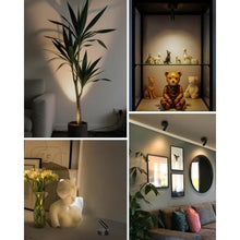 Load image into Gallery viewer, Spotlights Indoor with Remote, 3000Mah Rechargeable Wireless Plant Light, BlackmAh_206
