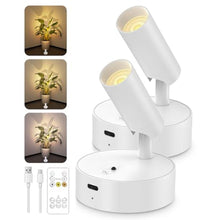 Load image into Gallery viewer, Spotlights Indoor with Remote, 3000Mah Rechargeable Wireless Plant Light, WhitemAh_1
