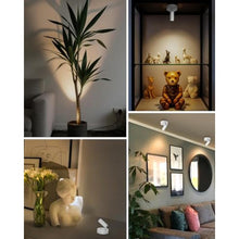 Load image into Gallery viewer, Spotlights Indoor with Remote, 3000Mah Rechargeable Wireless Plant Light, WhitemAh_196
